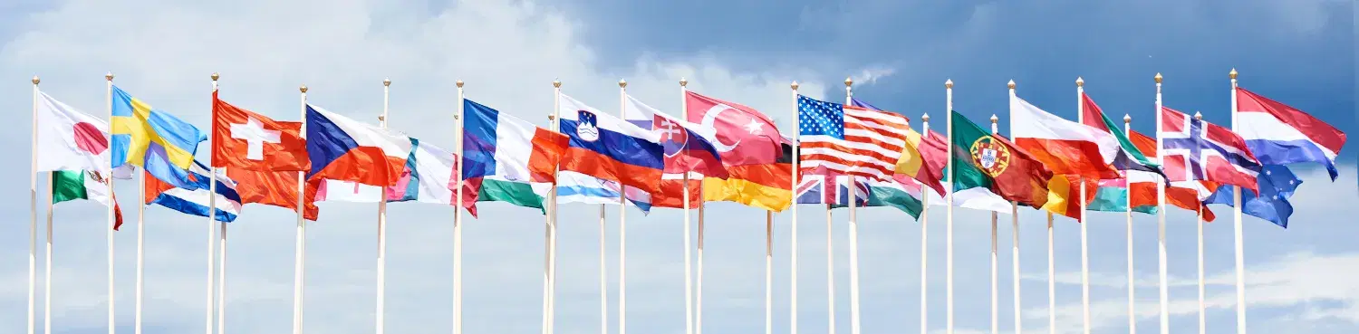 What are Sanctions?