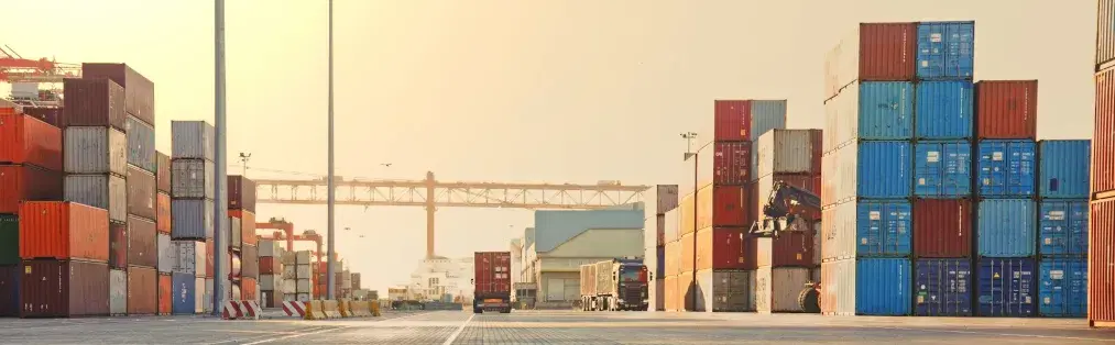 What is Sanctions Screening?